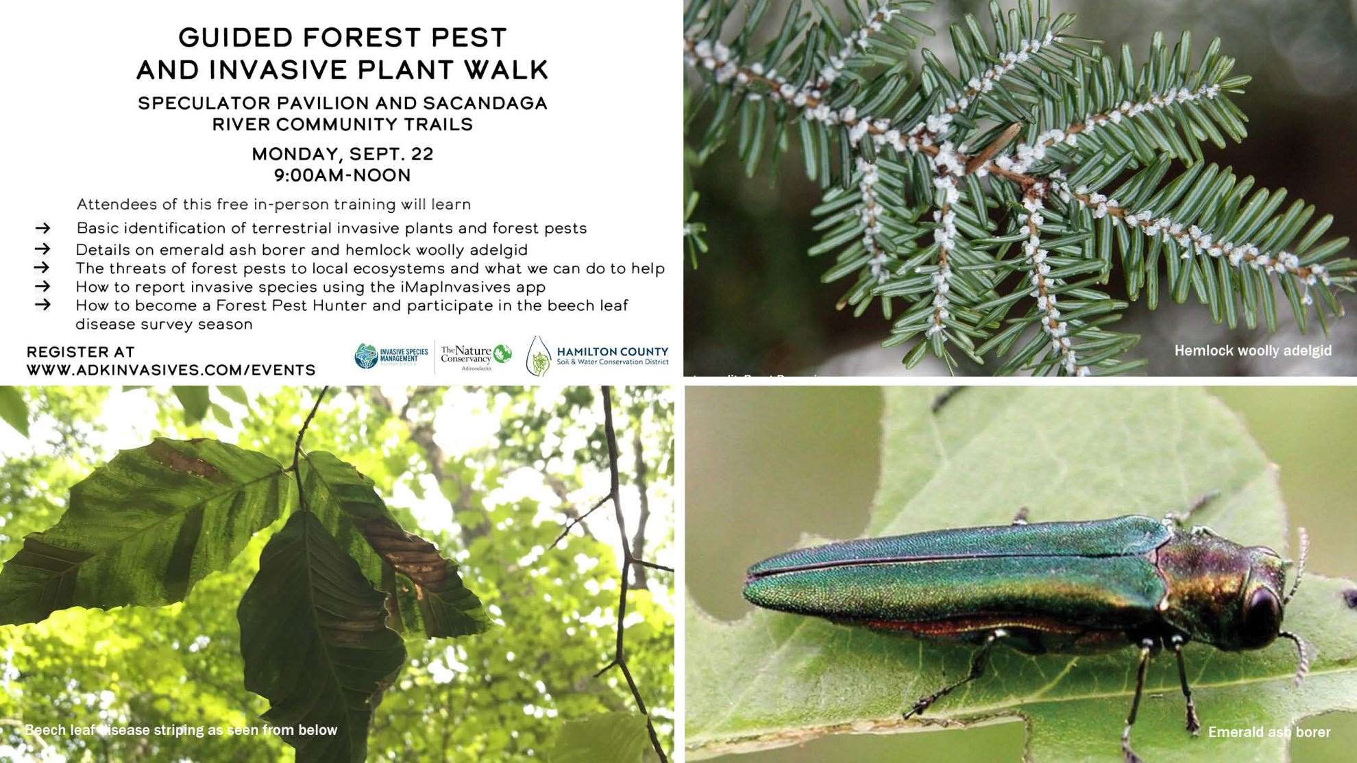 Learn about Invasives in Adirondack Park