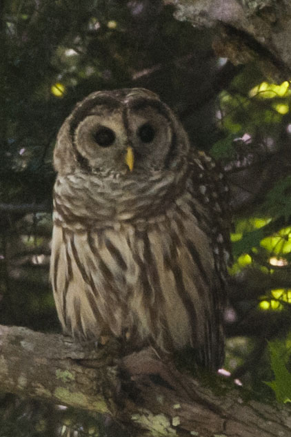 PLA 2025 Accomplishments PLA 2025 Accomplishments