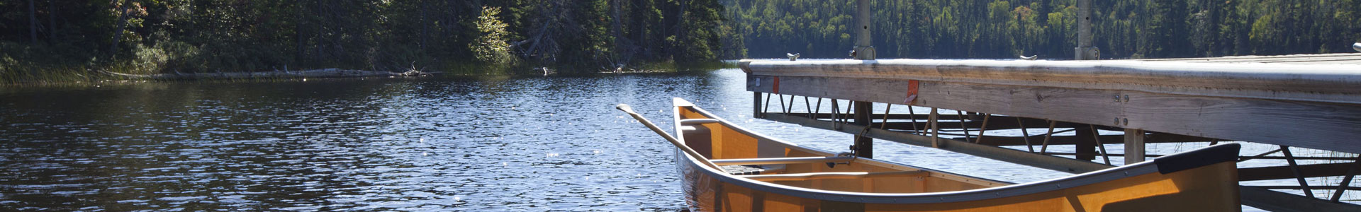 Loon Friendly Lake Certification